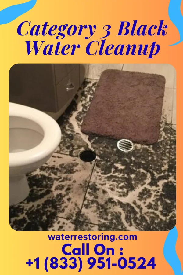 Category 3 Black Water Cleanup in Orchard Mesa, CO